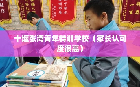 十堰张湾青年特训学校（家长认可度很高）