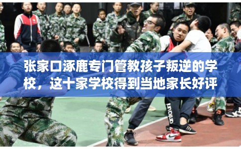 张家口涿鹿专门管教孩子叛逆的学校,这十家学校得到当地家长好评! 张家口涿鹿专门管教孩子叛逆的学校,这十家学校得到当地家长好评!
