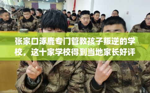 张家口涿鹿专门管教孩子叛逆的学校,这十家学校得到当地家长好评! 张家口涿鹿专门管教孩子叛逆的学校,这十家学校得到当地家长好评!