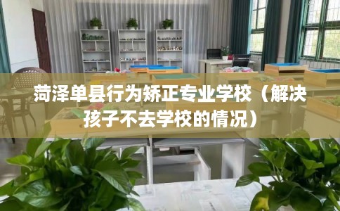 菏泽单县行为矫正专业学校（解决孩子不去学校的情况）