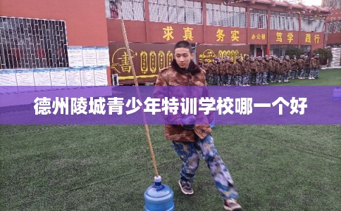 德州陵城青少年特训学校哪一个好