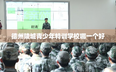 德州陵城青少年特训学校哪一个好