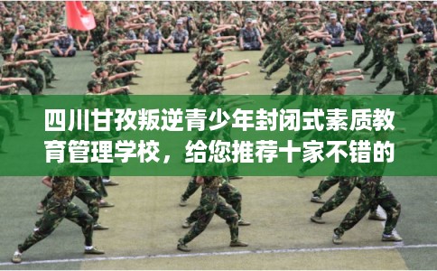 四川甘孜叛逆青少年封闭式素质教育管理学校，给您推荐十家不错的学校！