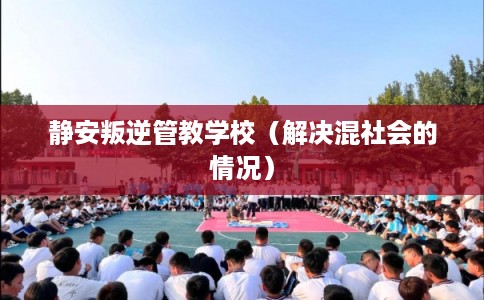 静安叛逆管教学校（解决混社会的情况）