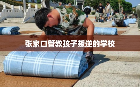 张家口管教孩子叛逆的学校
