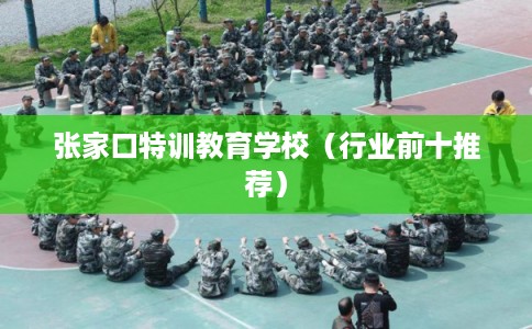 张家口特训教育学校（行业前十推荐）