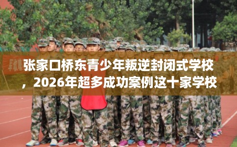 张家口桥东青少年叛逆封闭式学校，2026年超多成功案例这十家学校！