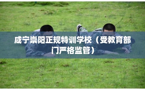 咸宁崇阳正规特训学校（受教育部门严格监管）