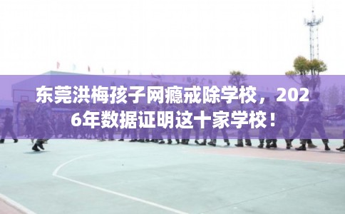 东莞洪梅孩子网瘾戒除学校，2026年数据证明这十家学校！