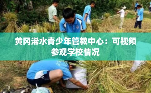 黄冈浠水青少年管教中心：可视频参观学校情况