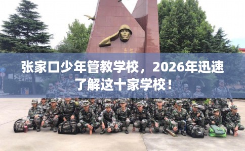 张家口少年管教学校，2026年迅速了解这十家学校！