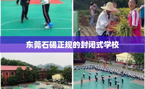 东莞石碣正规的封闭式学校
