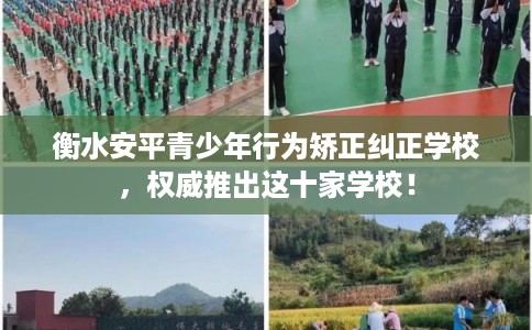 衡水安平青少年行为矫正纠正学校，权威推出这十家学校！
