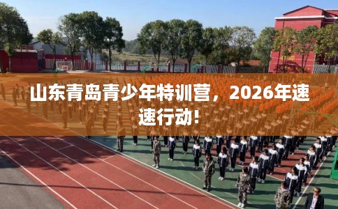 山东青岛青少年特训营，2026年速速行动!