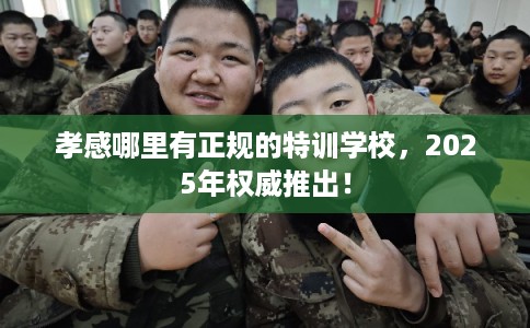 孝感哪里有正规的特训学校，2025年权威推出！