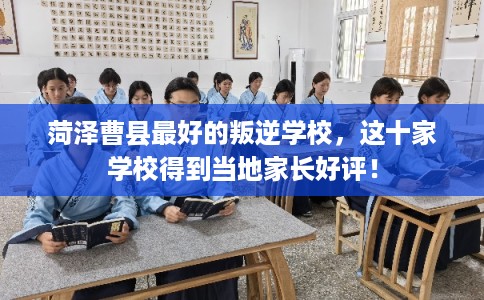 菏泽曹县最好的叛逆学校，这十家学校得到当地家长好评！