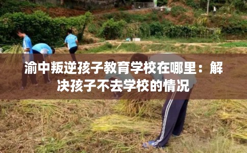 渝中叛逆孩子教育学校在哪里：解决孩子不去学校的情况