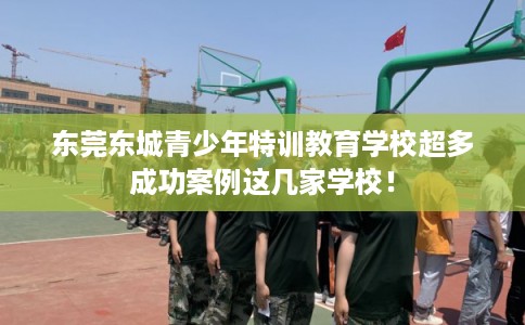 东莞东城青少年特训教育学校超多成功案例这几家学校！