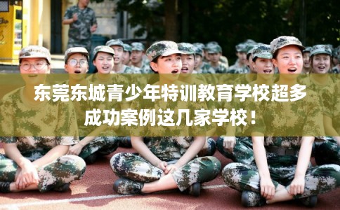 东莞东城青少年特训教育学校超多成功案例这几家学校！