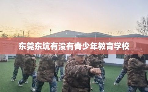 东莞东坑有没有青少年教育学校