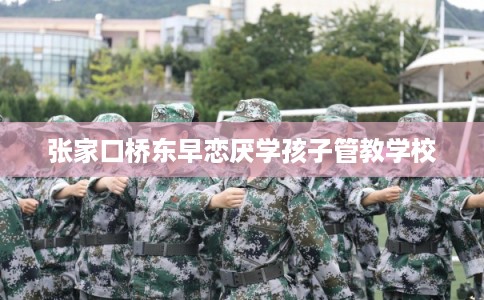 张家口桥东早恋厌学孩子管教学校