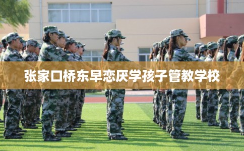 张家口桥东早恋厌学孩子管教学校
