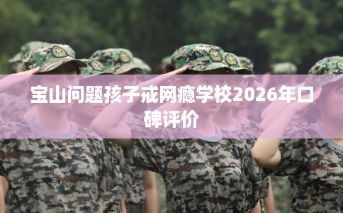 宝山问题孩子戒网瘾学校2026年口碑评价