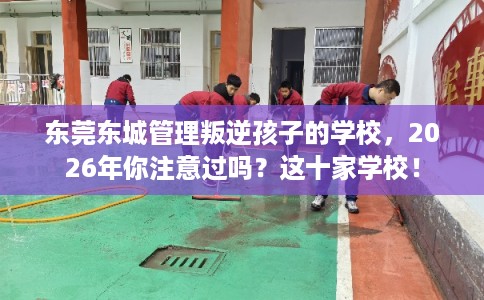 东莞东城管理叛逆孩子的学校，2026年你注意过吗？这十家学校！