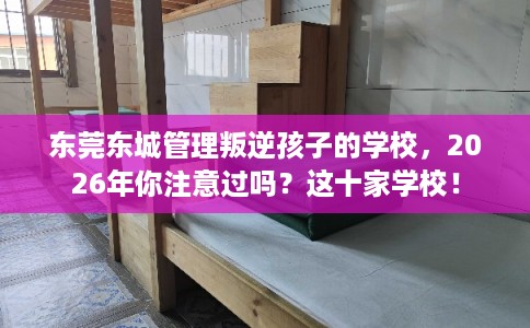 东莞东城管理叛逆孩子的学校，2026年你注意过吗？这十家学校！
