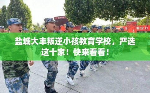 盐城大丰叛逆小孩教育学校，严选这十家！快来看看！