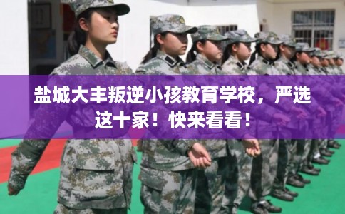 盐城大丰叛逆小孩教育学校，严选这十家！快来看看！