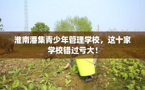 淮南潘集青少年管理学校，这十家学校错过亏大！