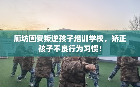 廊坊固安叛逆孩子培训学校，矫正孩子不良行为习惯！