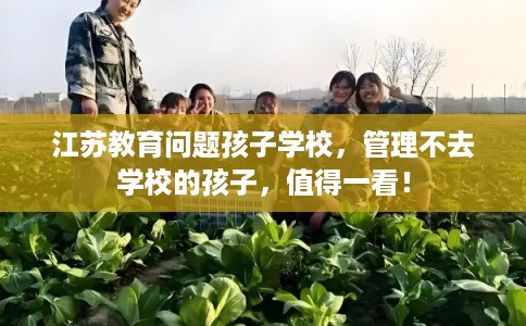 江苏教育问题孩子学校，管理不去学校的孩子，值得一看！