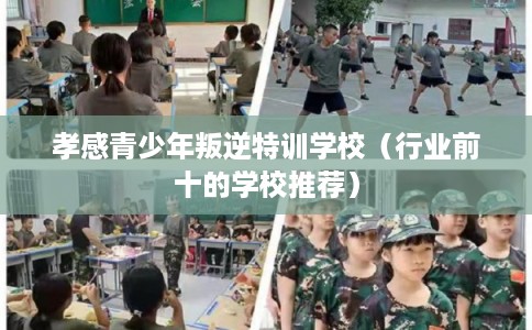 孝感青少年叛逆特训学校（行业前十的学校推荐）