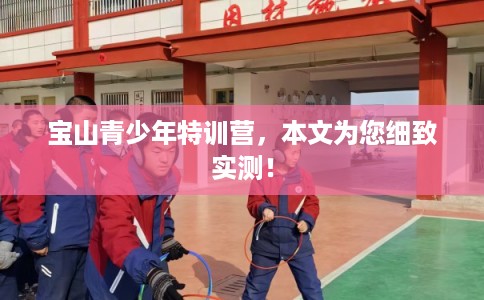 宝山青少年特训营，本文为您细致实测！