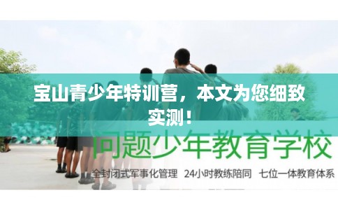 宝山青少年特训营，本文为您细致实测！