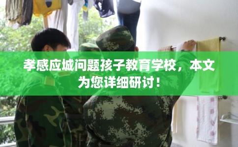 孝感应城问题孩子教育学校，本文为您详细研讨！