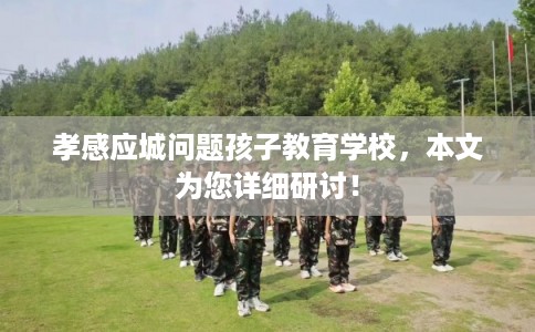 孝感应城问题孩子教育学校，本文为您详细研讨！