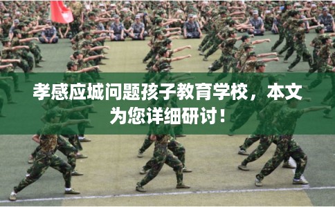 孝感应城问题孩子教育学校，本文为您详细研讨！