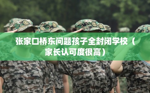 张家口桥东问题孩子全封闭学校（家长认可度很高）