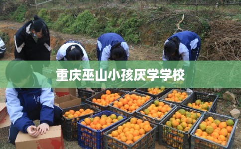 重庆巫山小孩厌学学校