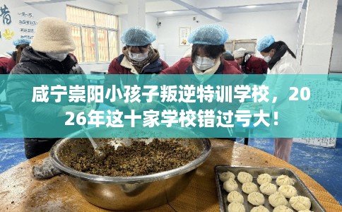 咸宁崇阳小孩子叛逆特训学校，2026年这十家学校错过亏大！