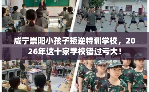 咸宁崇阳小孩子叛逆特训学校，2026年这十家学校错过亏大！
