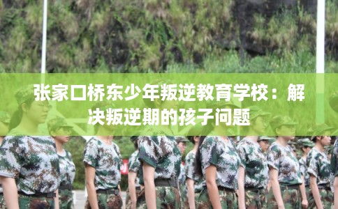 张家口桥东少年叛逆教育学校：解决叛逆期的孩子问题