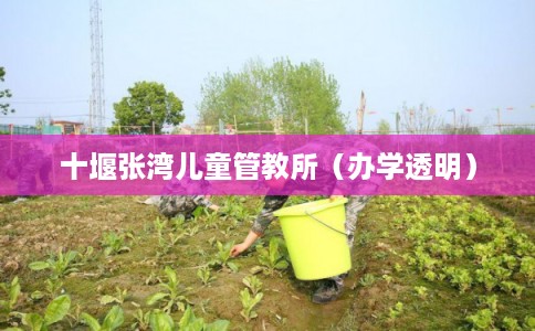 十堰张湾儿童管教所（办学透明）