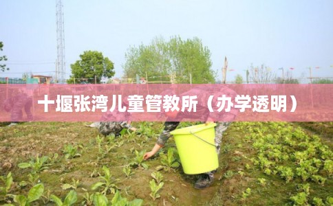 十堰张湾儿童管教所（办学透明）