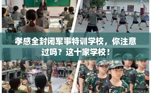 孝感全封闭军事特训学校，你注意过吗？这十家学校！