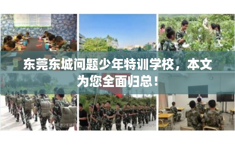 东莞东城问题少年特训学校，本文为您全面归总！