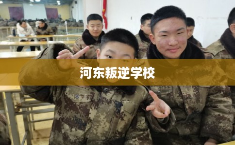 河东叛逆学校
